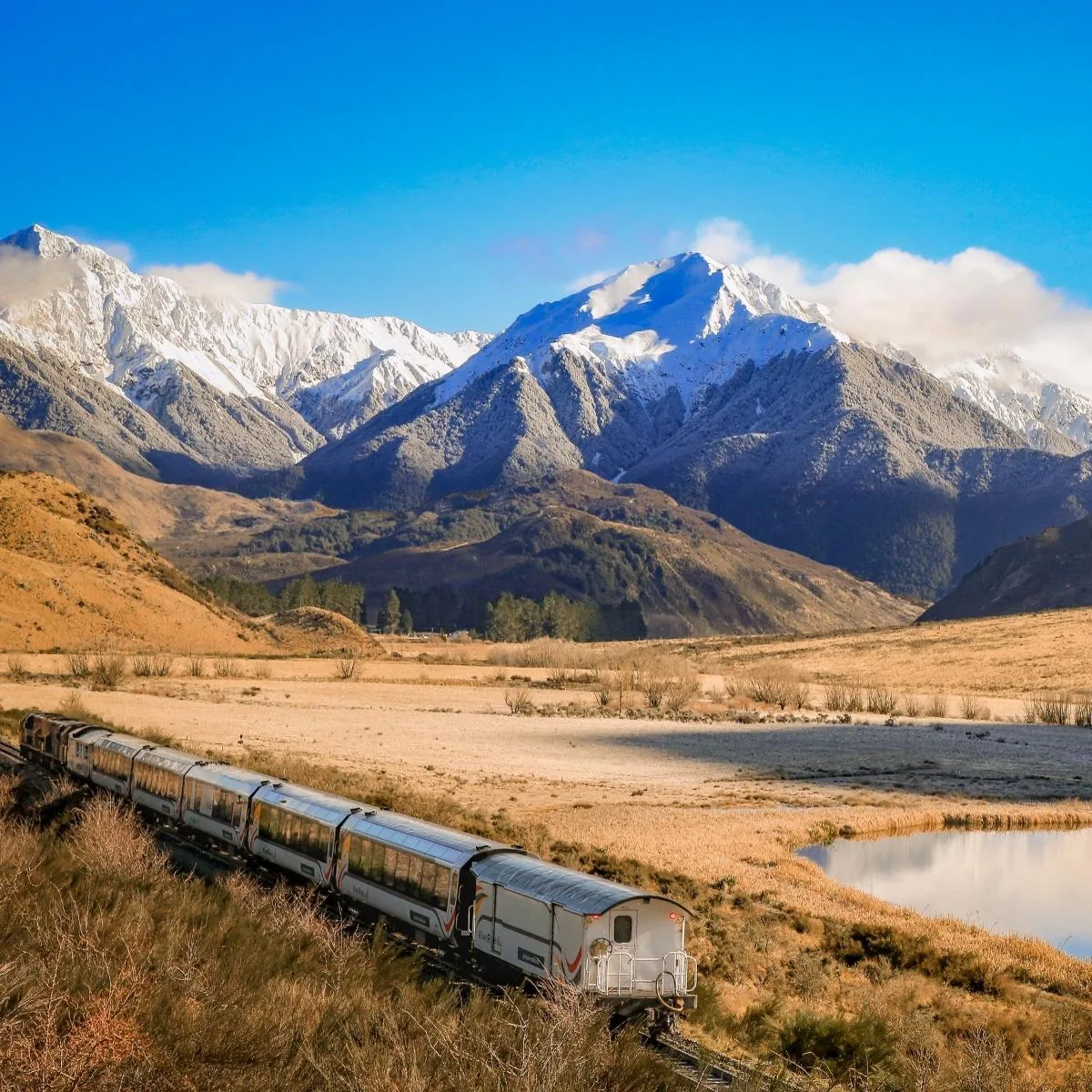 TranzAlpine Train, Arthur’s Pass & Castle Hill Experience