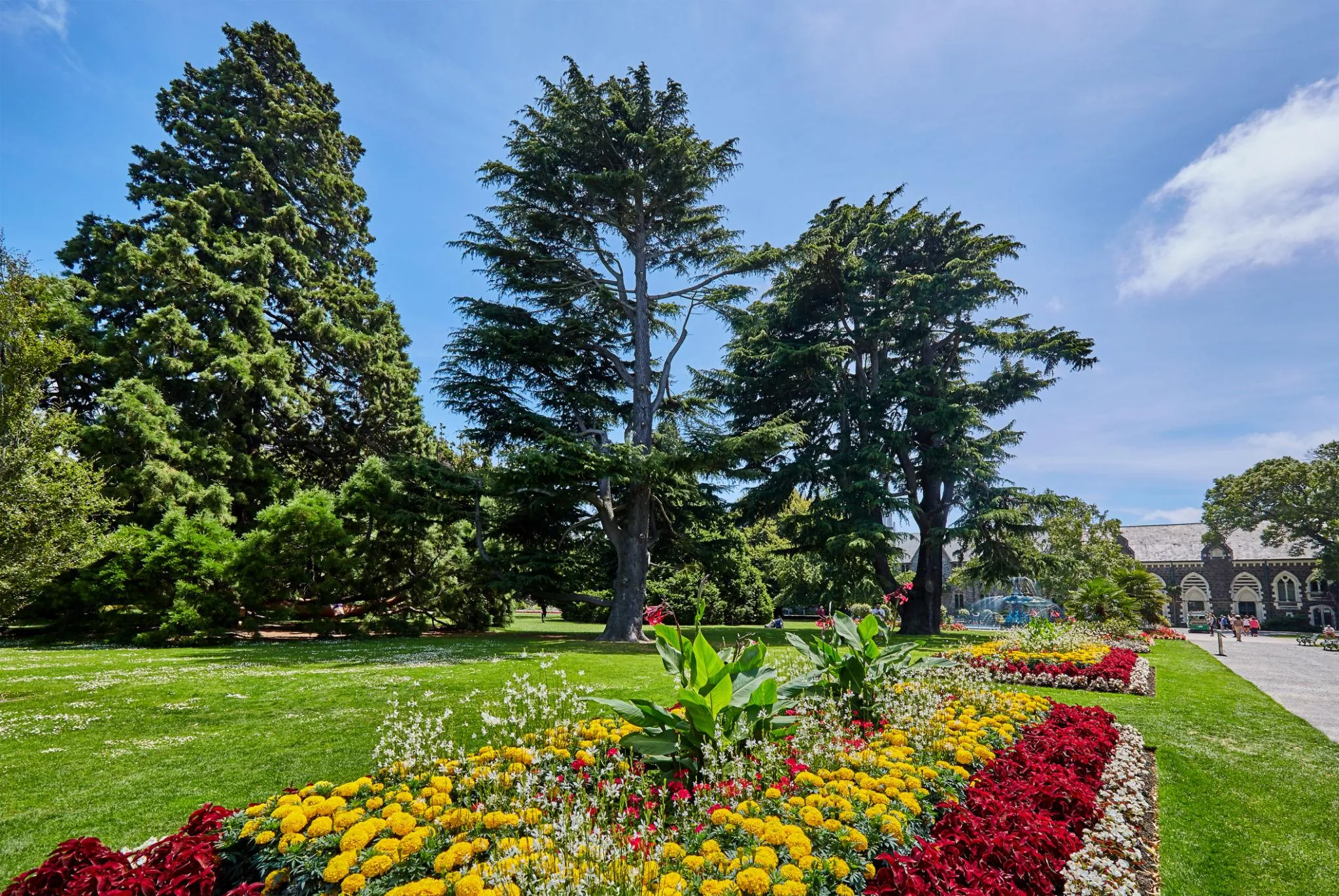 Christchurch City & Scenic Highlights Experience