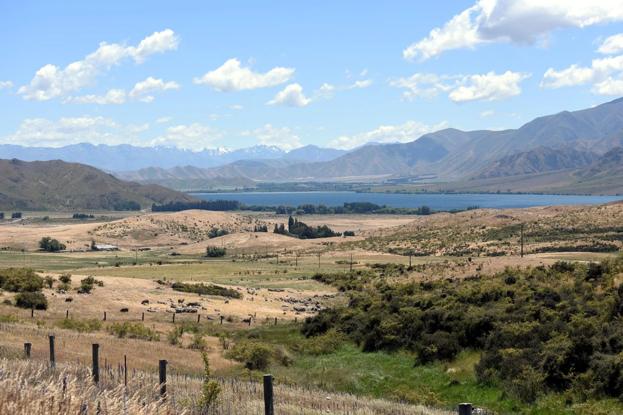 Kaikōura Coastal Escape