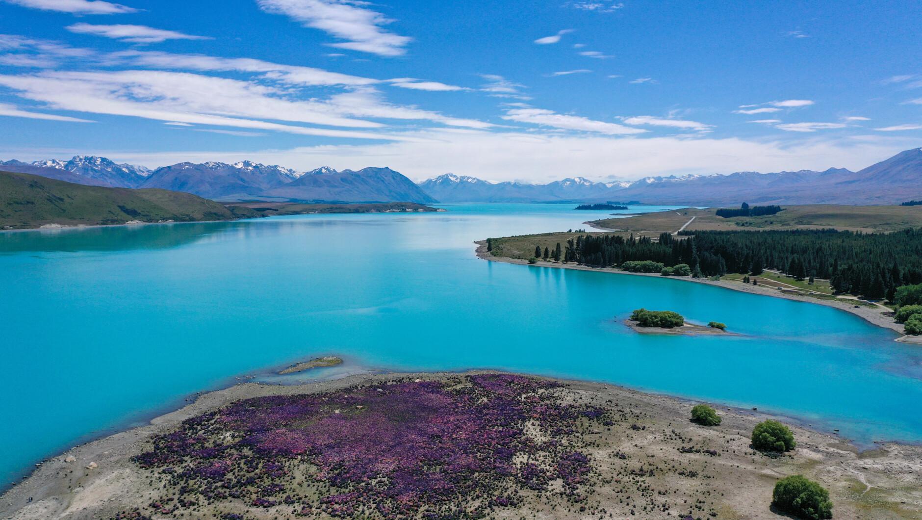 Mount Cook, Lake Tekapo & Tasman Glacier Experience