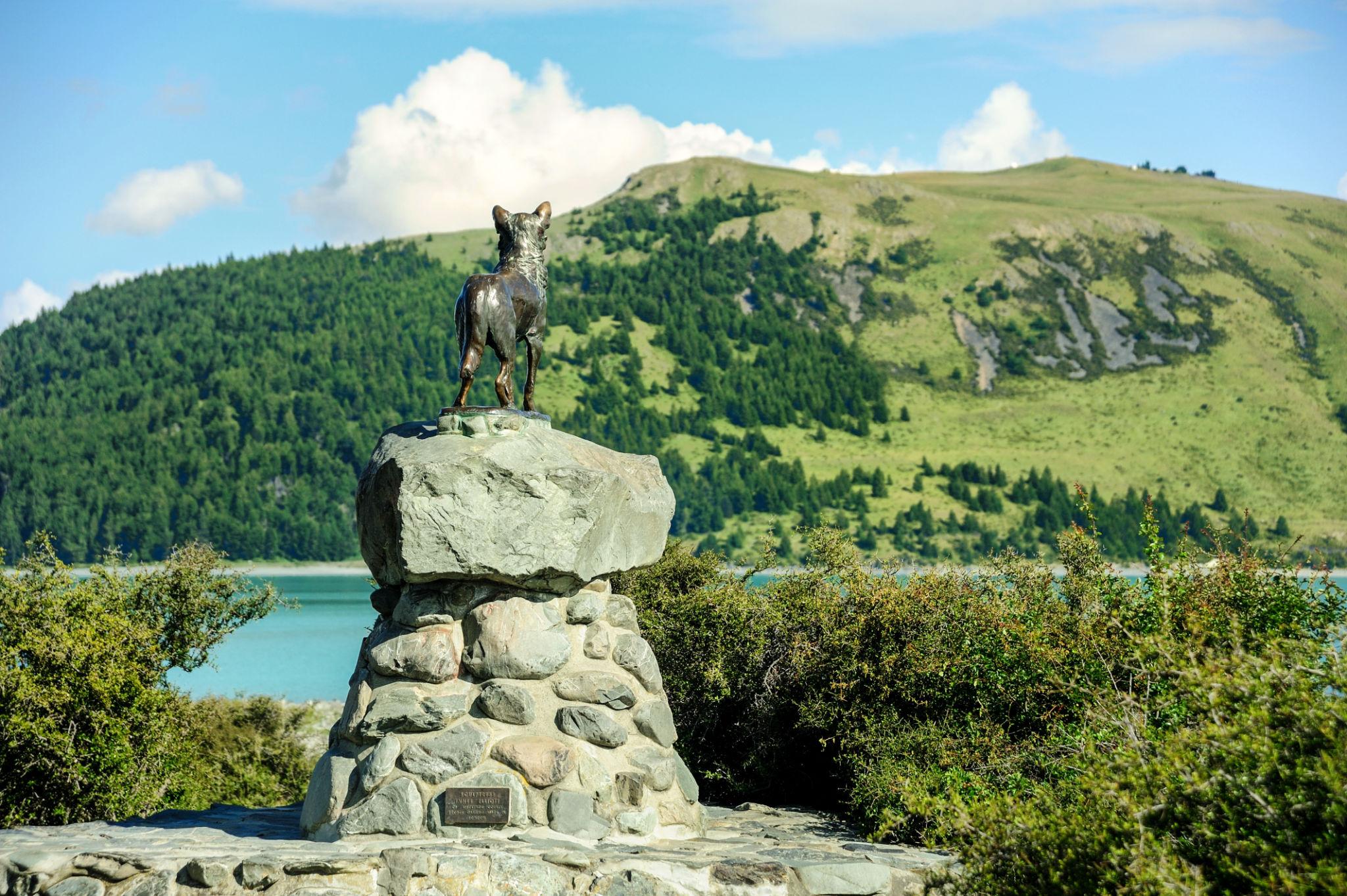 Mount Cook, Lake Tekapo & Tasman Glacier Experience