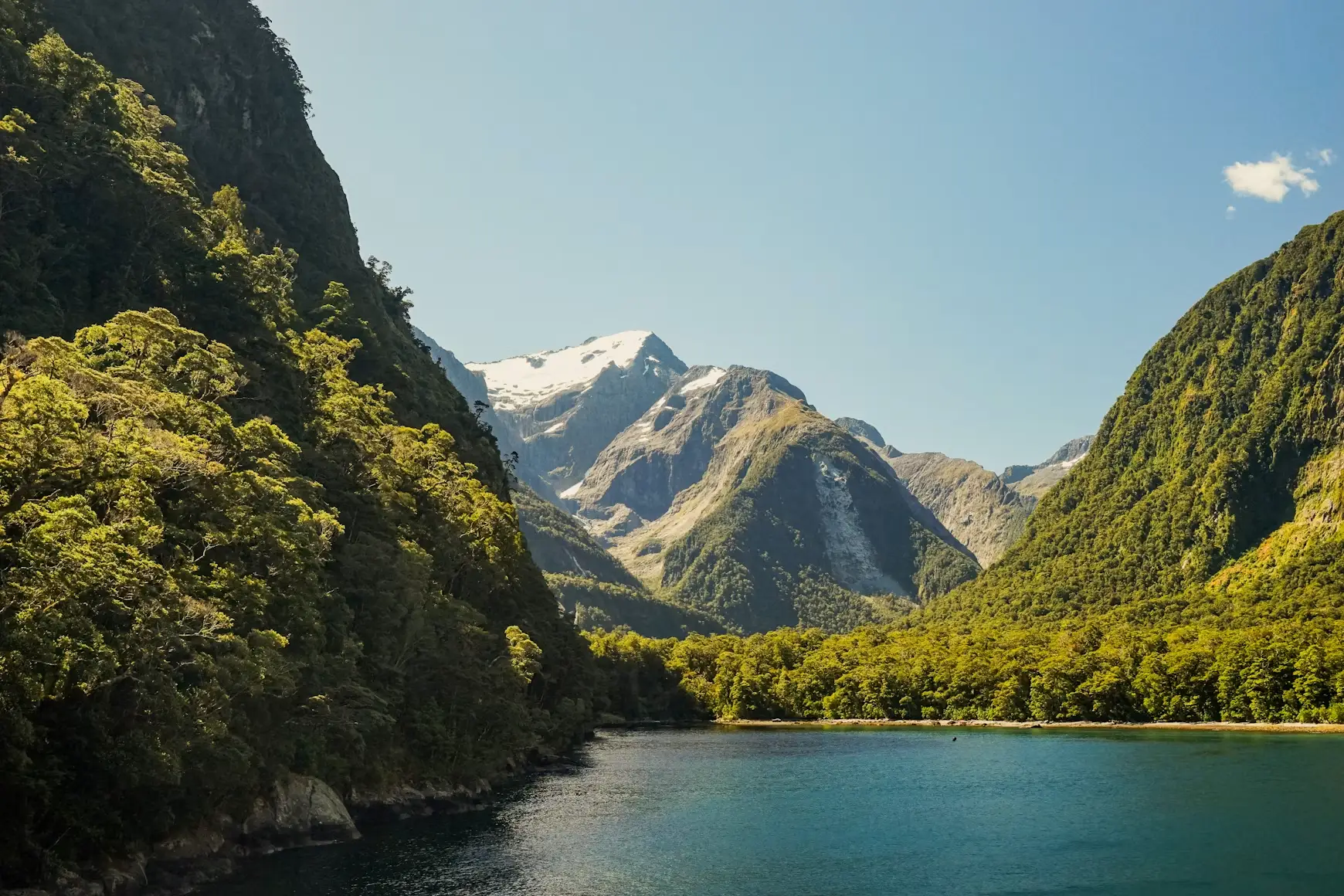 Discover New Zealand